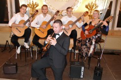 Gaibach-Schlosskonzert-Barbara-Hoelzer-1